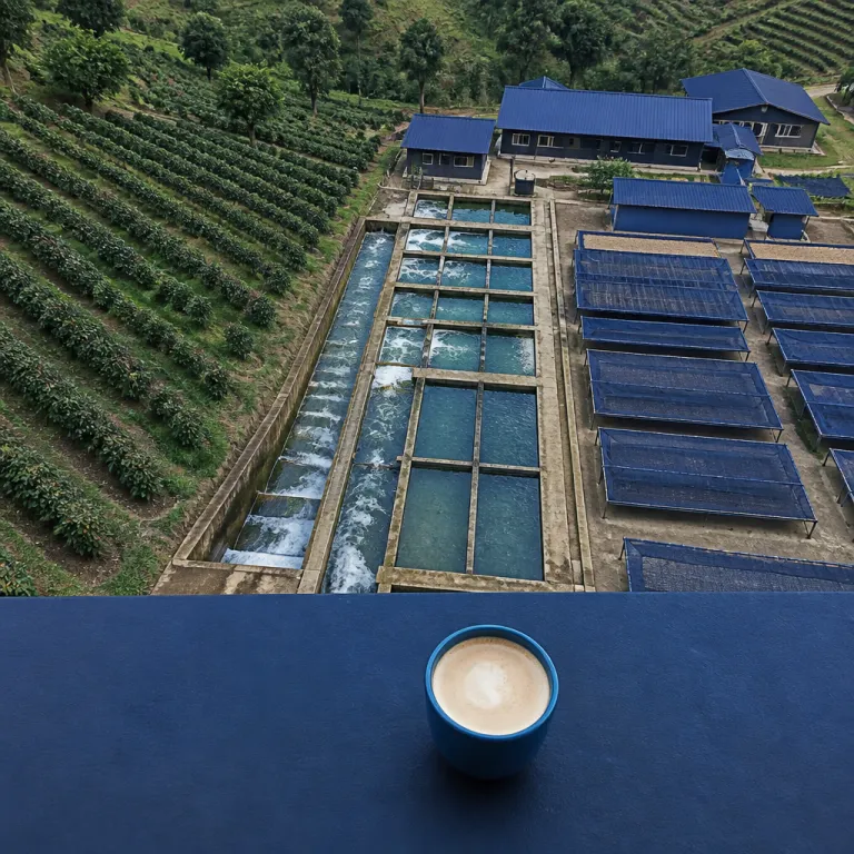 Rwanda's Coffee Country as a Destination: Estates, Washing Stations and the Cup You Carry Home